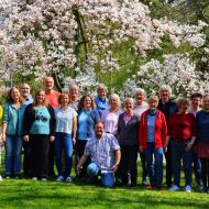 Sunny Side Up - Konzert