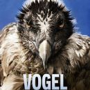 Vogelperspektiven