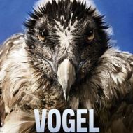 Vogelperspektiven
